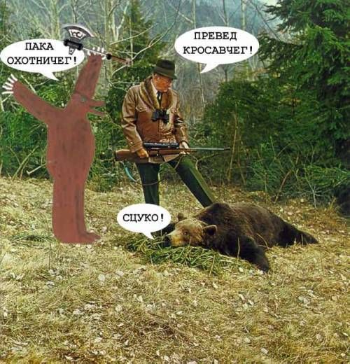 Превед, медвед!